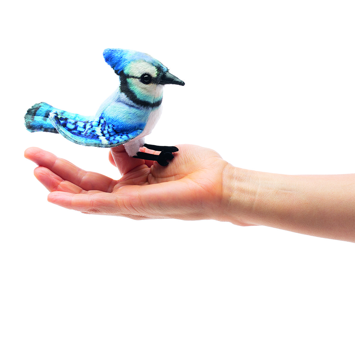 Folkmanis Fingerpuppe Mini Blauhäher/ Mini Blue Jay 