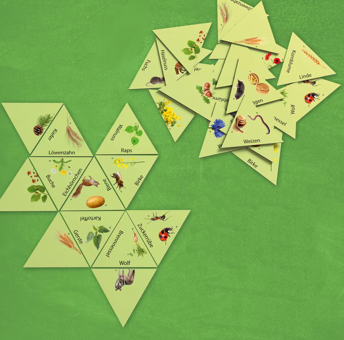 Haba Learning Star Wald,Feld & Wiese ab 8 Jahre