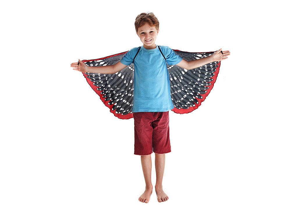 Natural Bird Wings Woodpecker Picoides villosus Dreamy Dress-ups