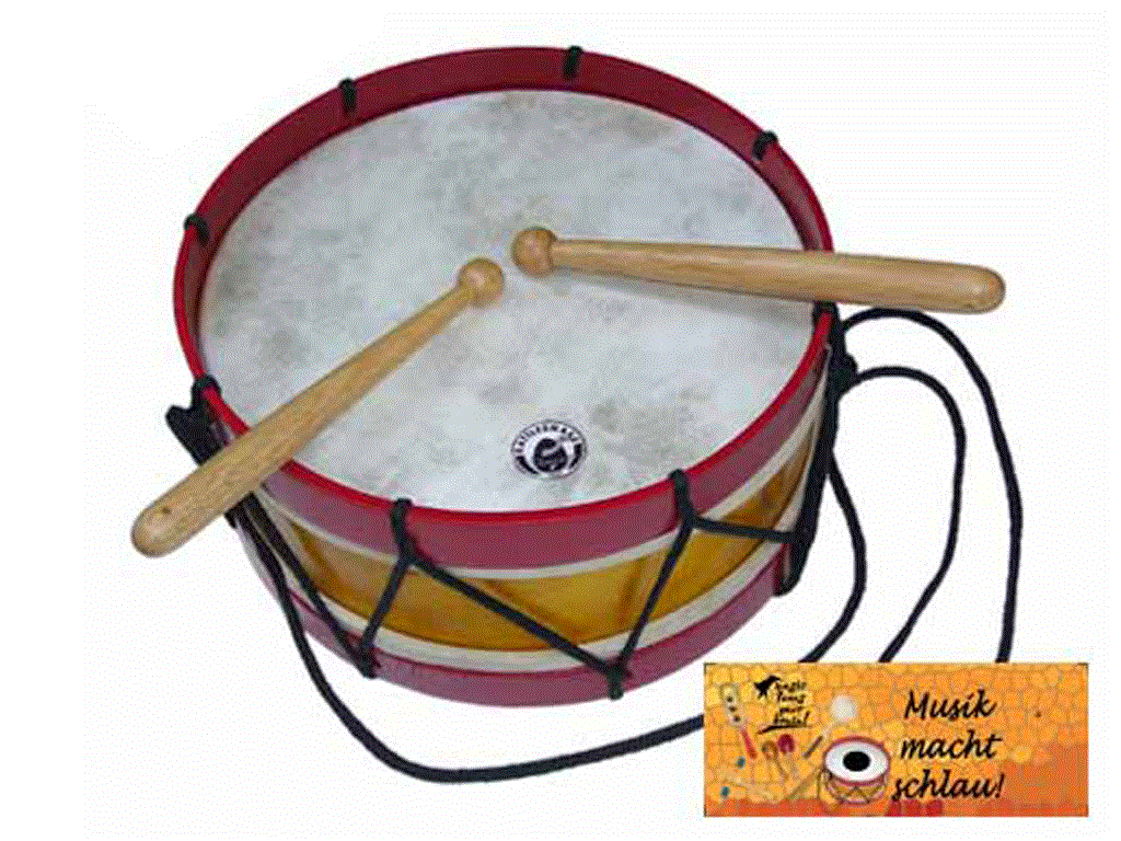 Rattlesnake Instrument KS-Trommel 22,5 cm 