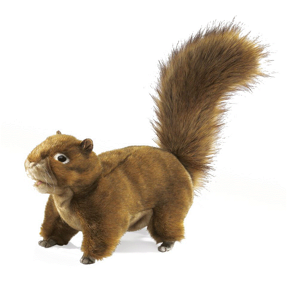 Folkmanis Handpuppe Eichhörnchen / Red Squirrel 