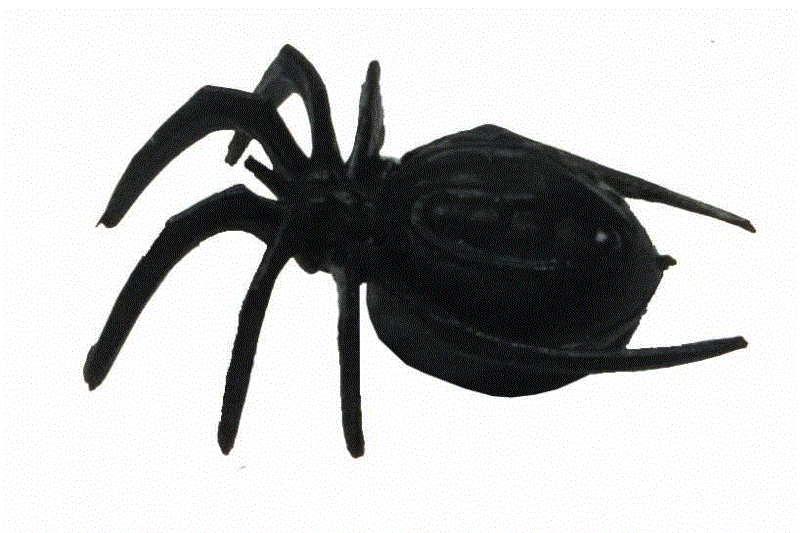 Magneto Magnet-Spinne Magnetisches Krabbeltier 