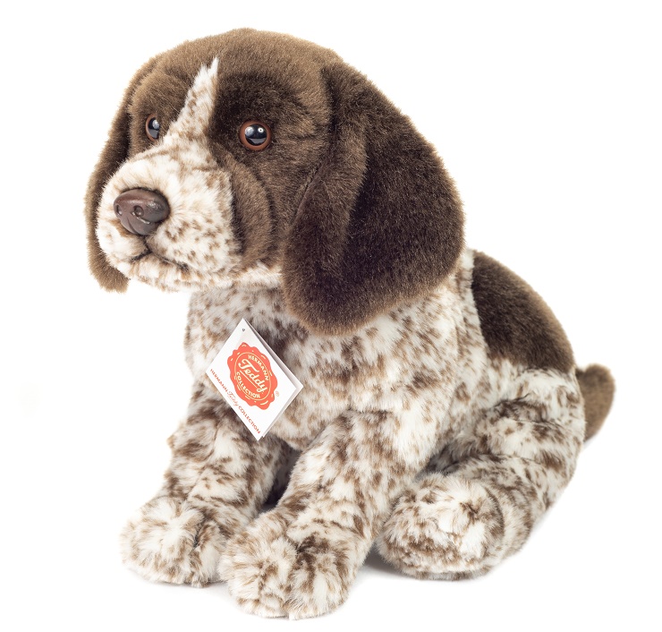 Hermann Teddy Deutsch Drahthaar Welpe 30 cm