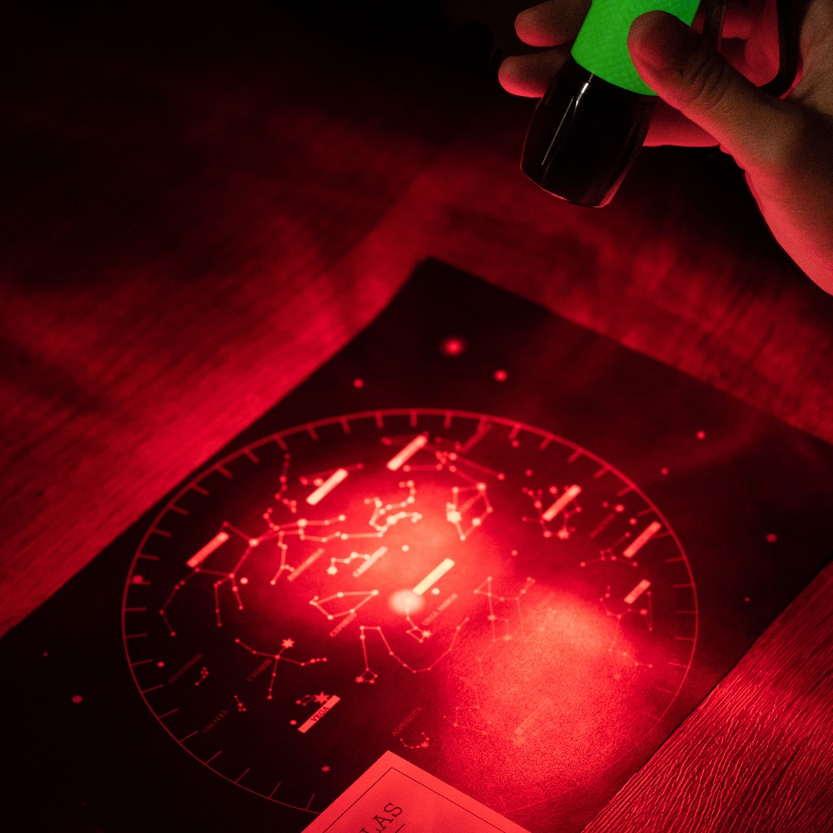 Carson Rotlicht-Taschenlampe Redsight  - mit LED-Rotlicht und Glow-in-the-dark-Griff