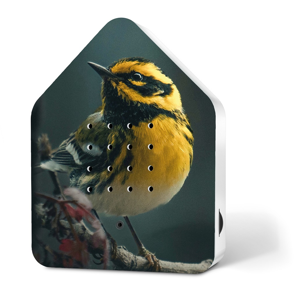 Zwitscherbox Happy Birds Edition Blackburnian Limitierte Sonderausgabe, nur solange der Vorrat reicht