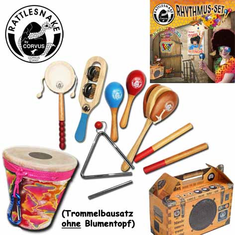 Rattlesnake Instrument Rhythmus-Set 01 In Musik-Box 