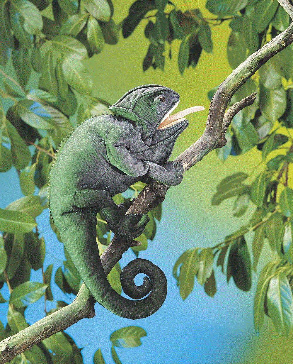 Folkmanis Handpuppe Chamäleon / Chameleon 