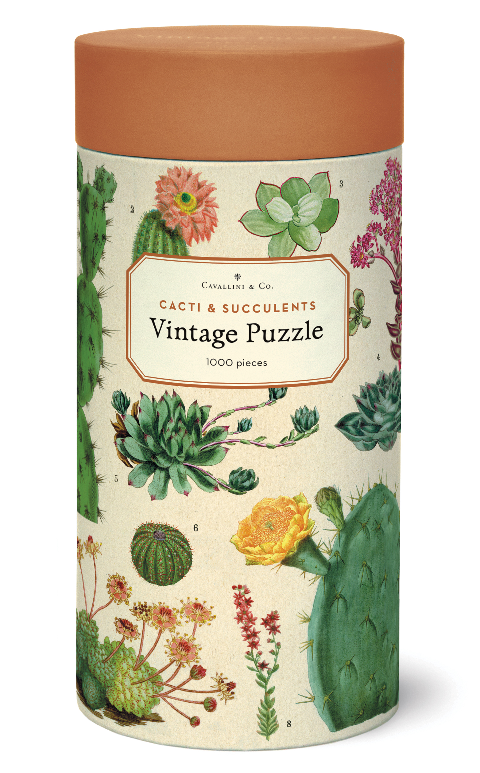 Cavallini & Co. Vintage Puzzle Cacti & Succulents 1000 Teile