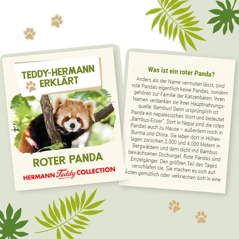 Hermann Teddy Roter Panda 30 cm  Stofftier