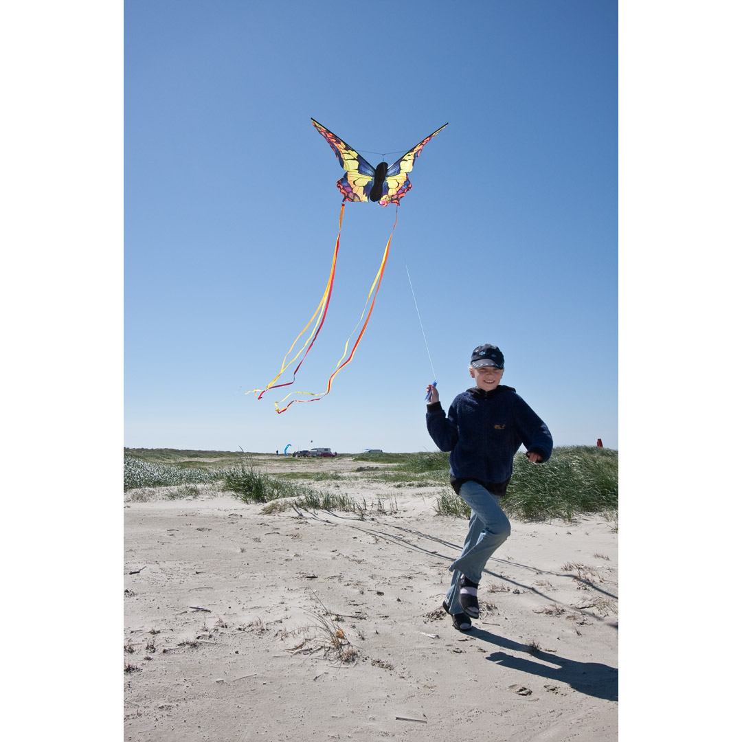 Invento Drachen Butterfly Kite Swallowtail R Einleiniger Kinderdrachen als Schmetterling