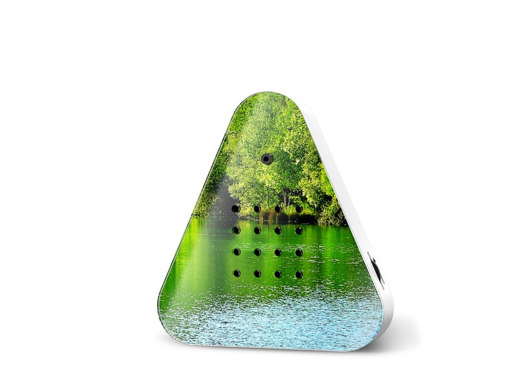 Lakesidebox Waldsee 