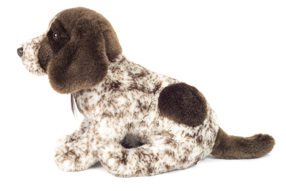 Hermann Teddy Deutsch Drahthaar Welpe 30 cm