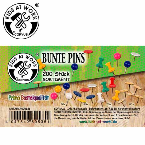 Kids at Work Box Pins Sort.