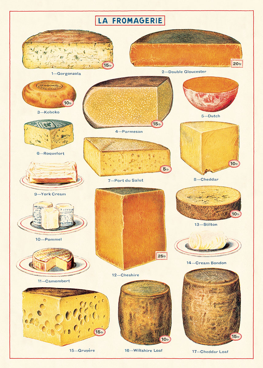 Cavallini & Co Poster Käse 20" x 28" -7-