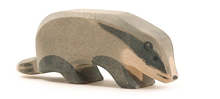 Ostheimer Dachs Kopf tief