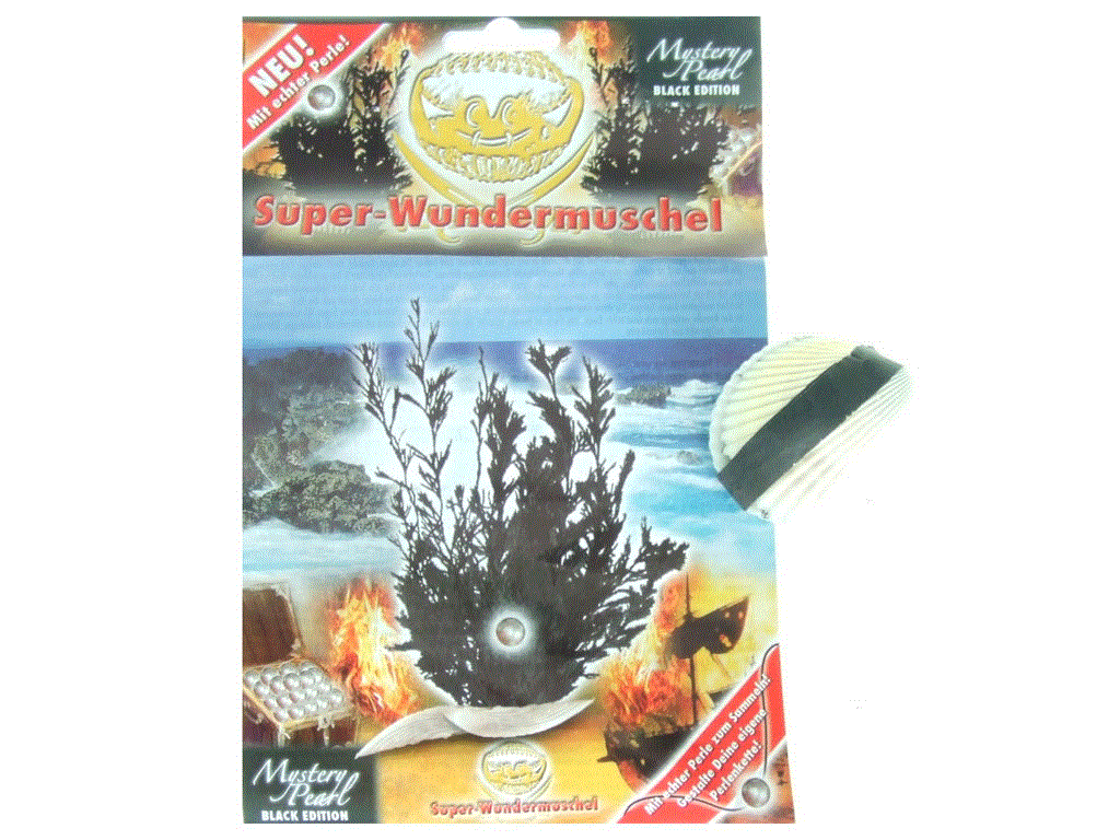 Super-Wundermuschel mit echter Perle,Muschel +schwarz.Koralle