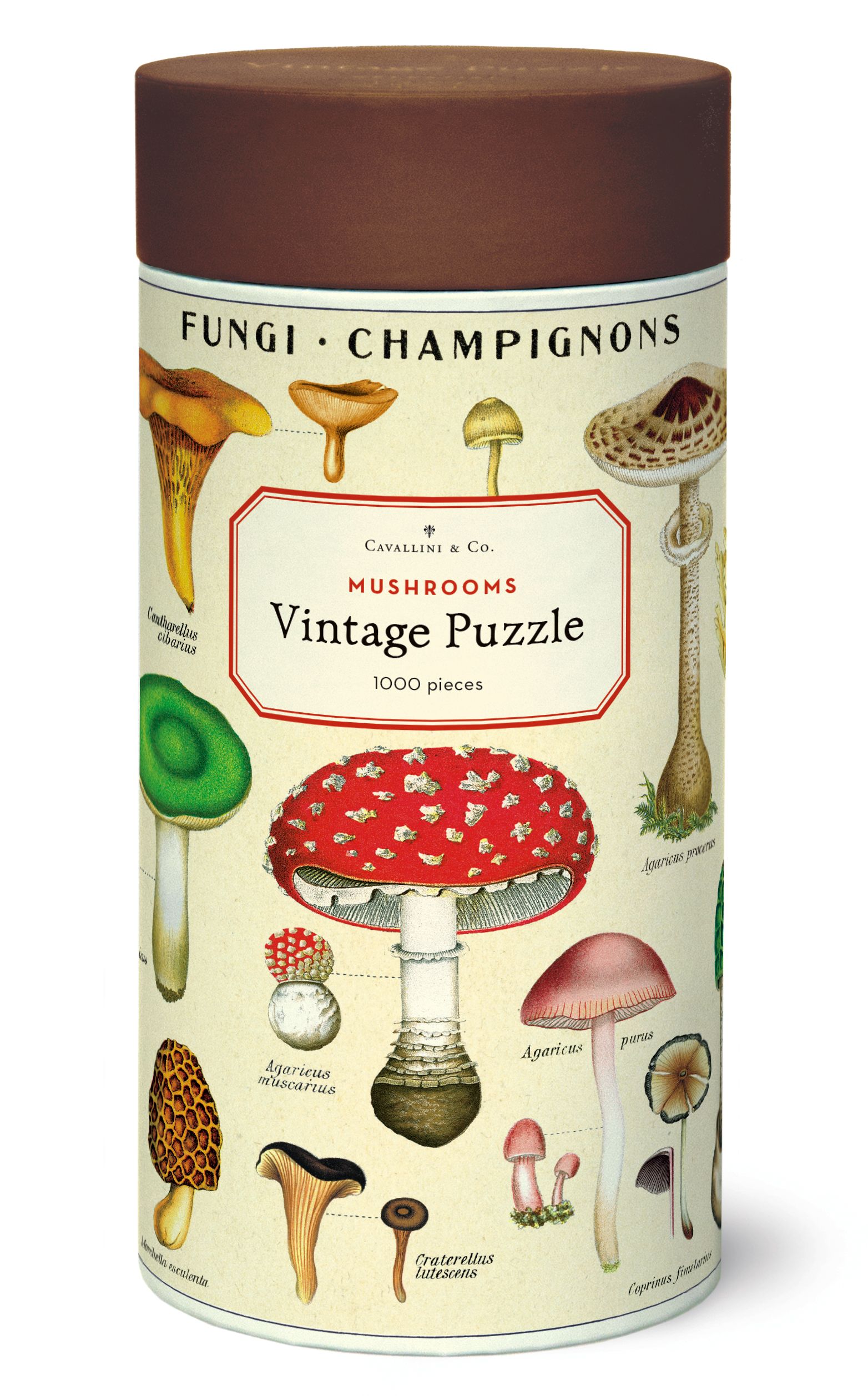 Cavallini & Co. Vintage Puzzle Mushrooms 1000 Teile