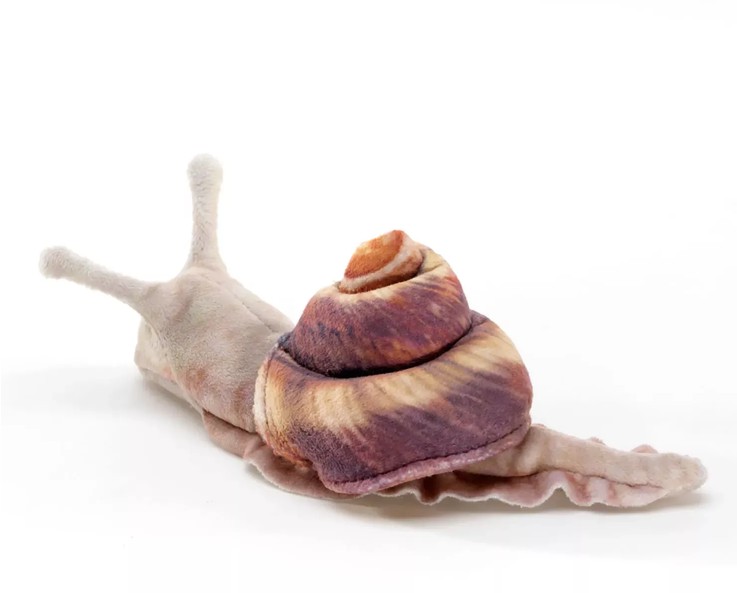 Folkmanis Fingerpuppe Mini Snail / Mini Schnecke