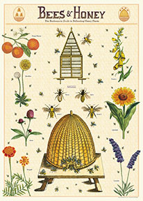 Cavallini & Co Poster Bienen und Honig 20" x 28" -32-