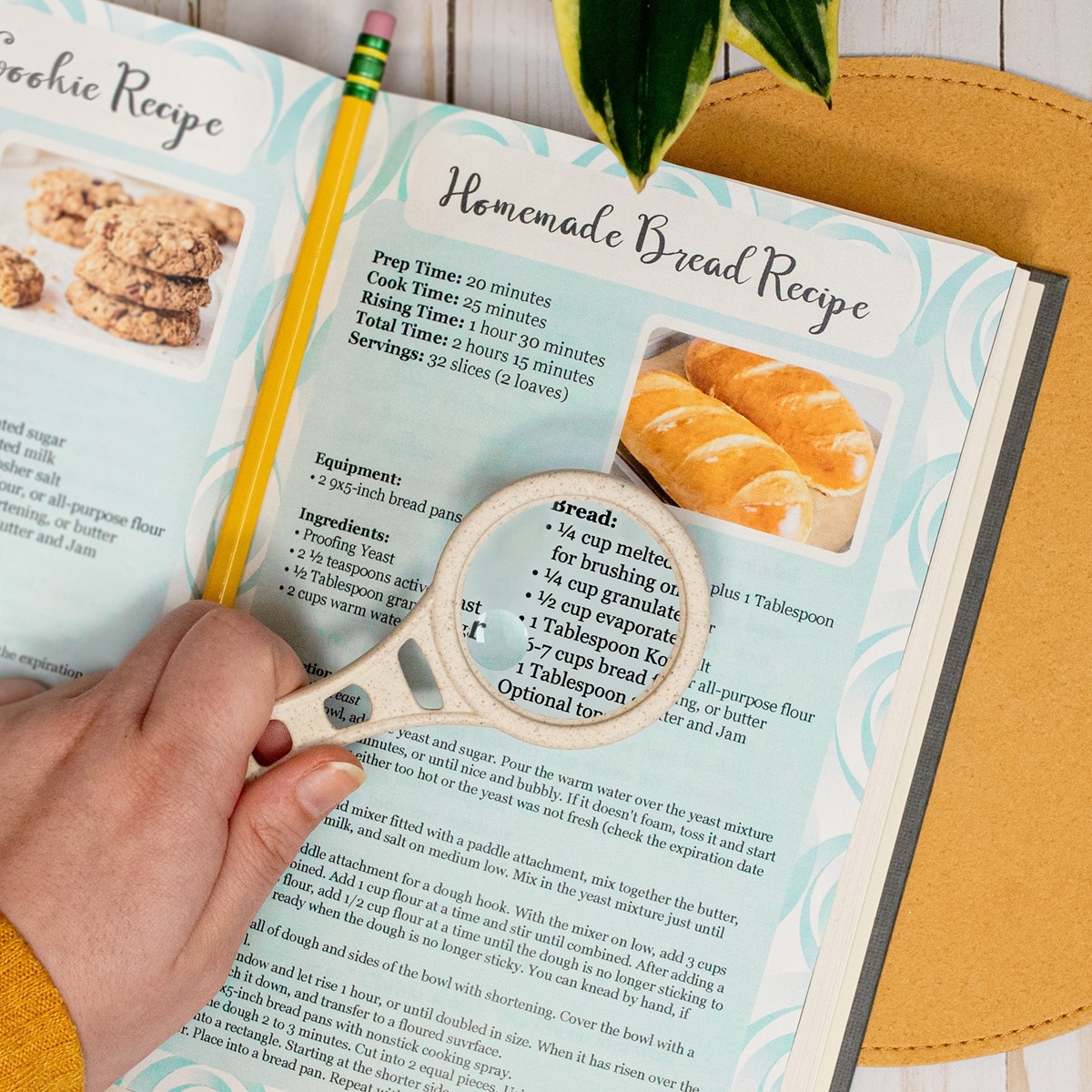 Carson Magnetische Lupe - Eco friendly MagnetMag