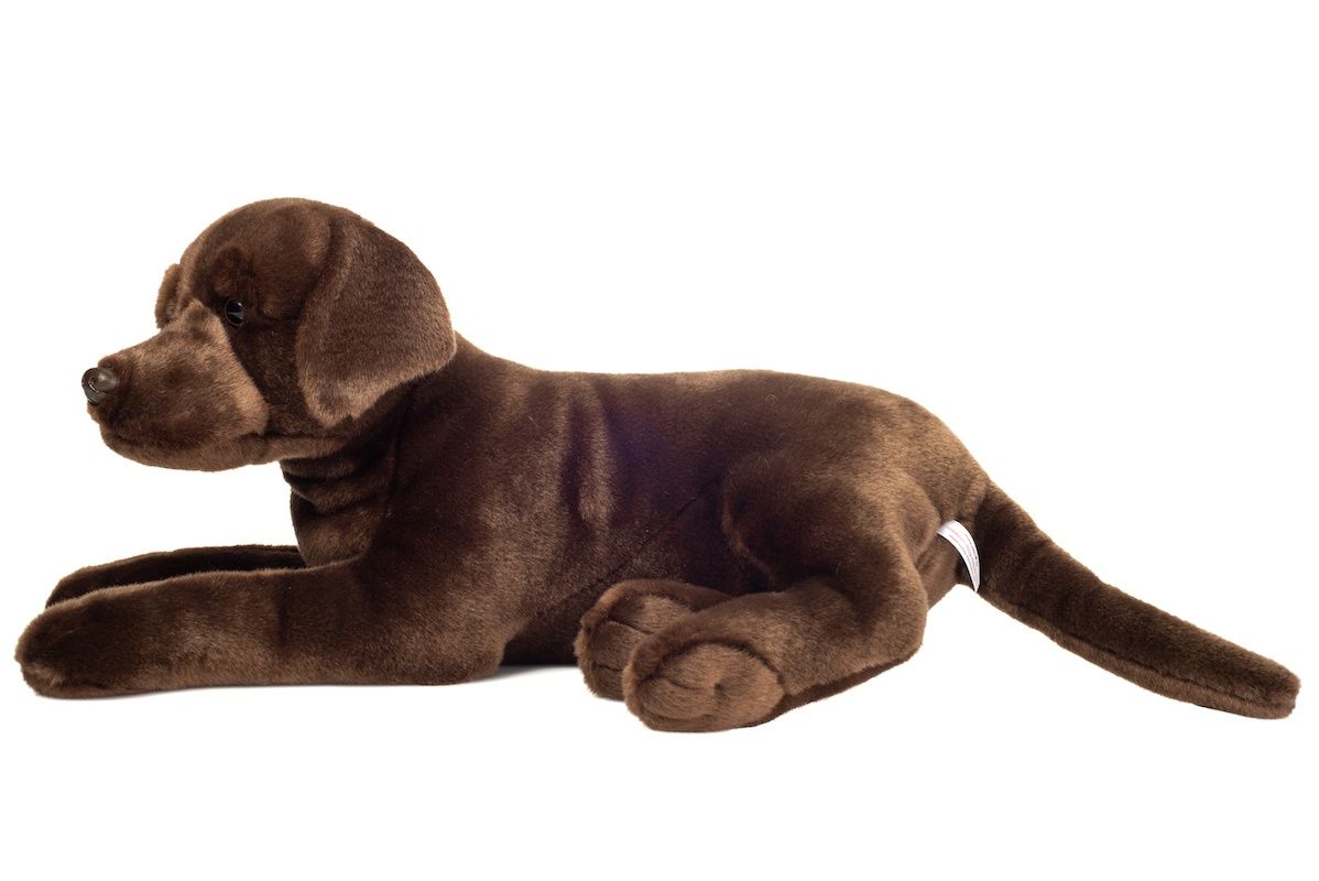 Hermann Teddy Labrador schokobraun 50 cm