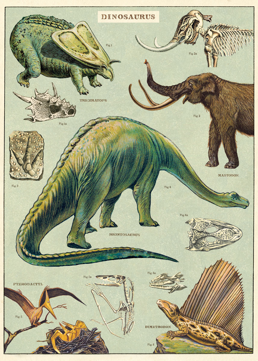 Cavallini & Co Poster Dinosaurs 20x28 Zoll -28-
