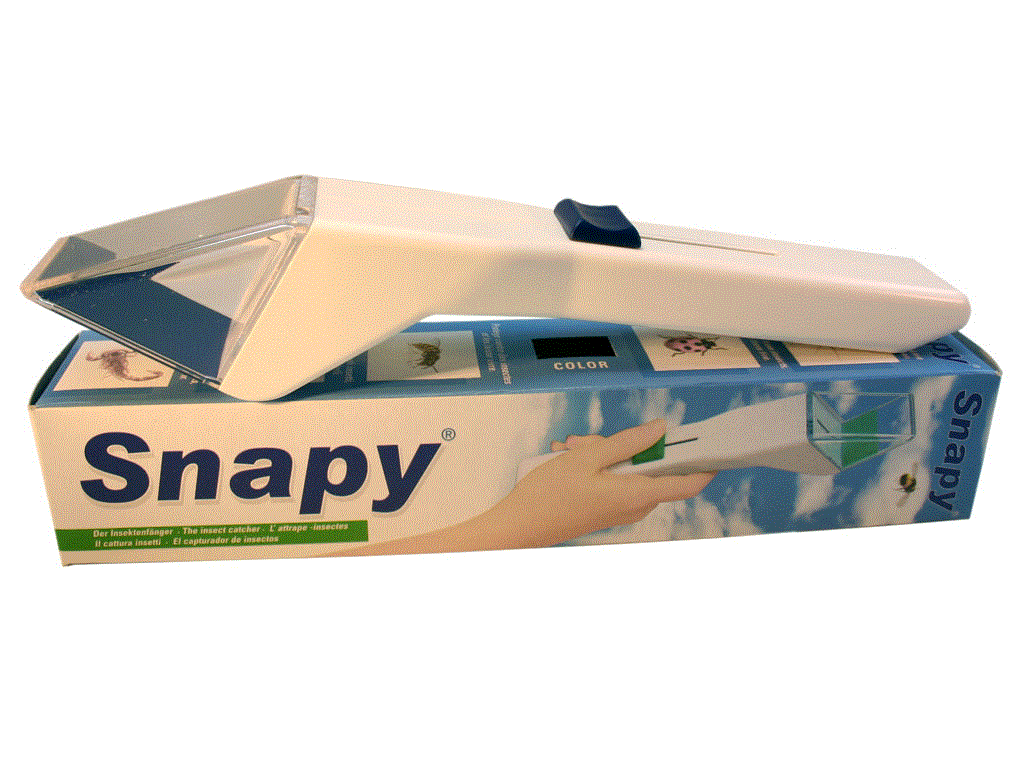Snapy, der Insektenfänger 