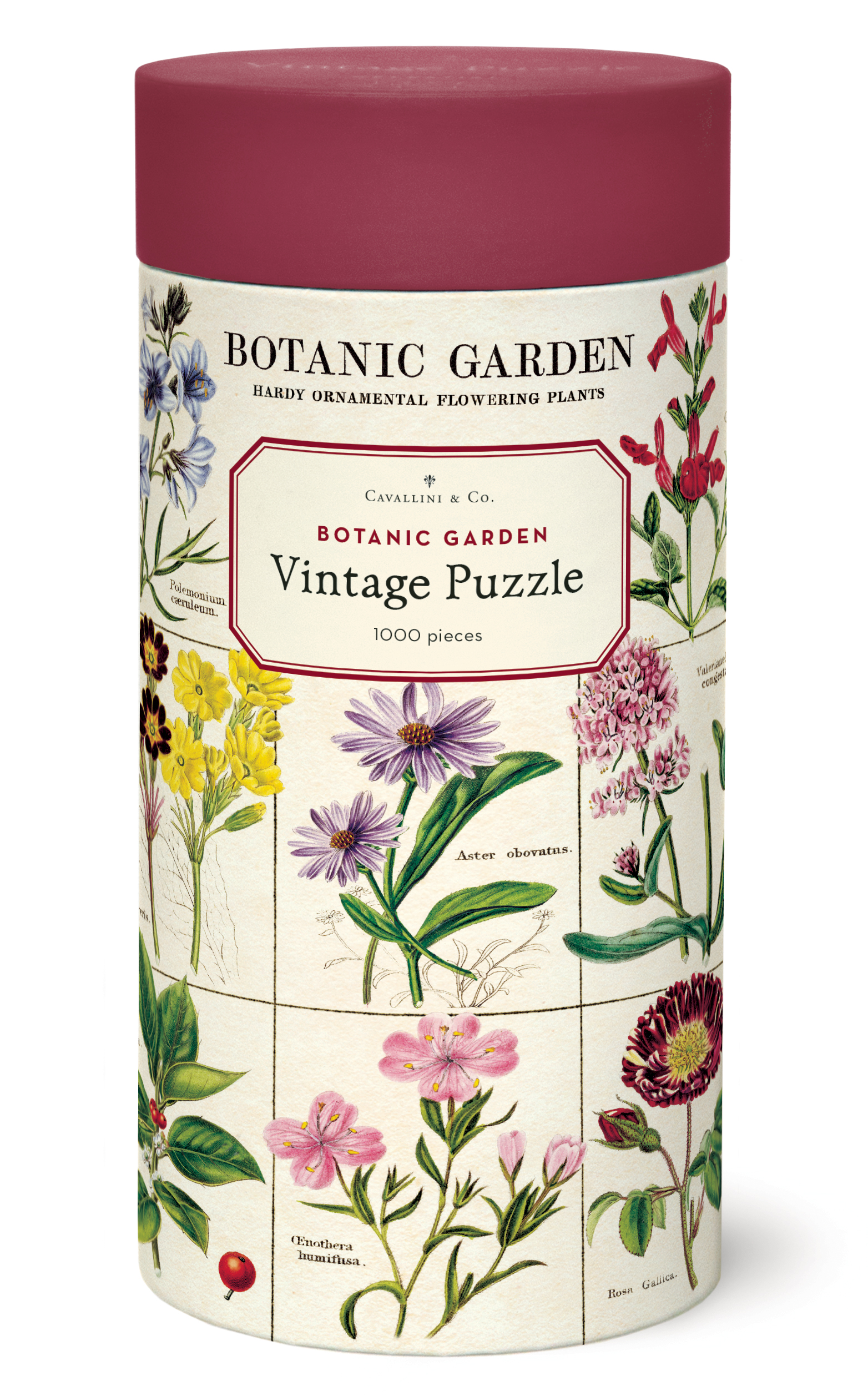 Cavallini & Co. Vintage Puzzle Botanic Garden 1000 Teile 
