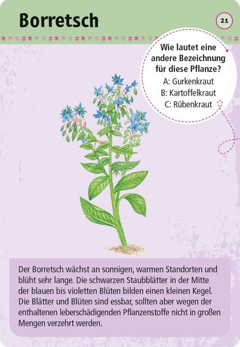 moses Expedition Natur 50 essbare Wildpflanzen