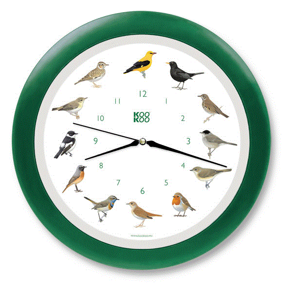 KooKoo Wanduhr Singvögel grün Funk 