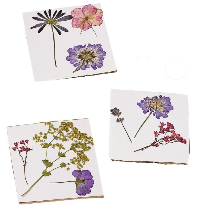 Moses  Blatt- und Blütenpresse aus der Reihe „Mein Zaubergarten"