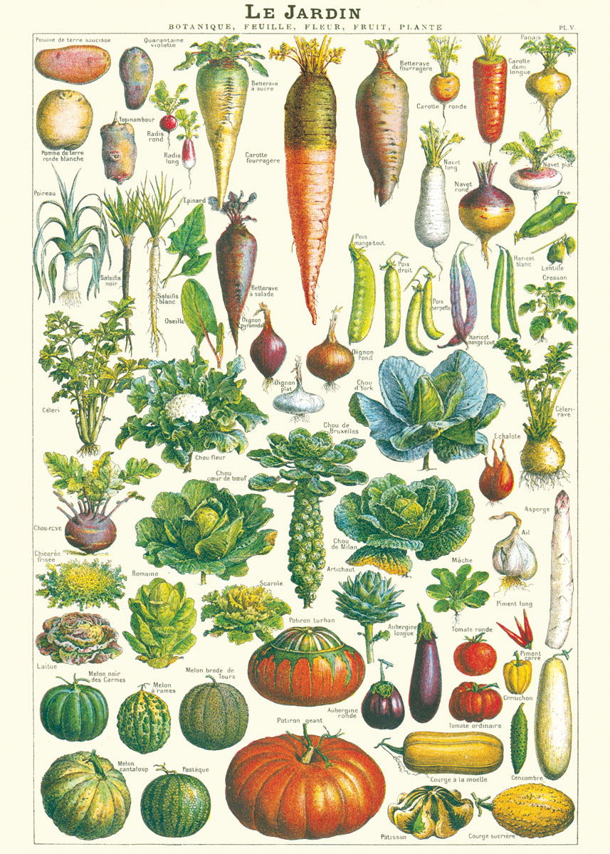 Cavallini & Co Poster Garten 20" x 28" -12-