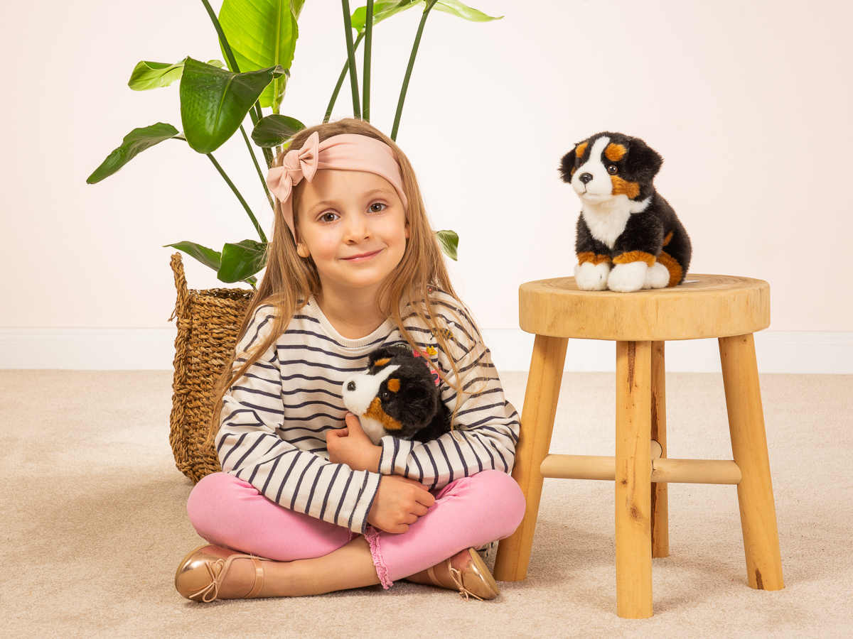 Hermann Teddy Berner Sennenhund sitzend 21 cm