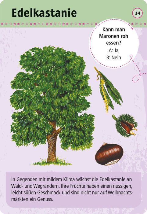 moses Expedition Natur 50 essbare Wildpflanzen