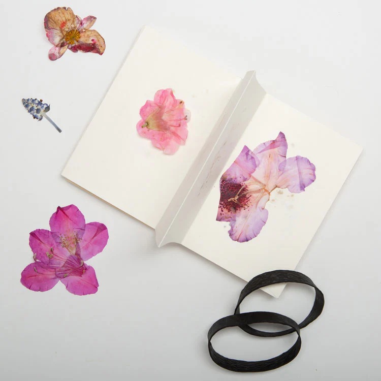 Kickerland Feldblumenpresse - Field Flower Press  in Buchform für unterwegs