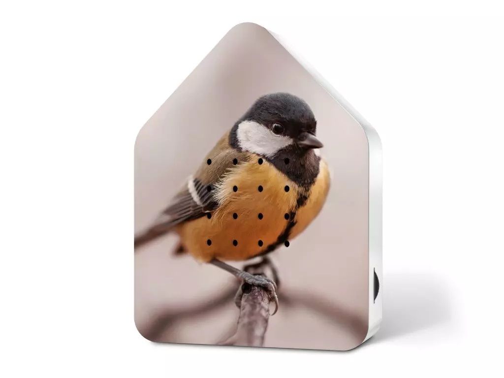 Zwitscherbox Great Tit Limited Edition mit Kohlmeisenmotiv