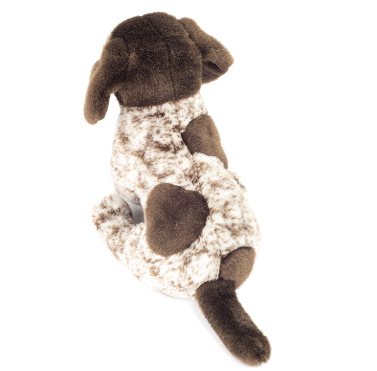 Hermann Teddy Deutsch Drahthaar Welpe 30 cm