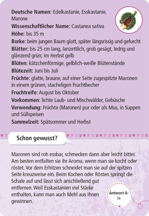 moses Expedition Natur 50 essbare Wildpflanzen