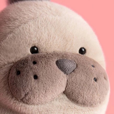 Jellycat Stofftier Roarwell Sea Lion