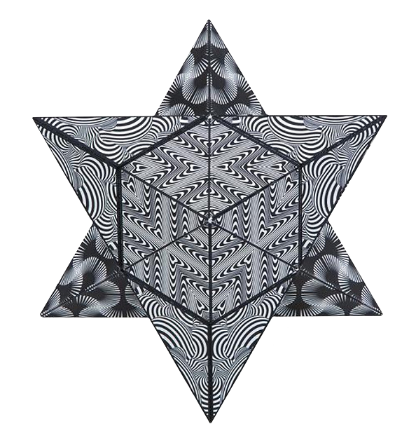 Shashibo Cube - Black and white Magnetwürfel