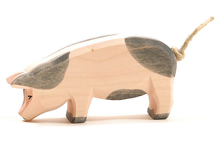 Ostheimer Schwein gefleckt Kopf tief