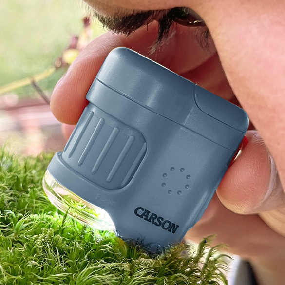 Carson MicroMini Taschen-Mikroskop Surf blau