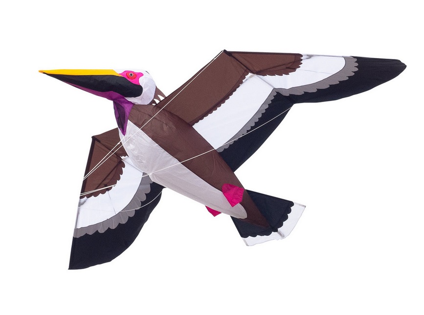 Invento Einleiner Drachen Pelican 3D