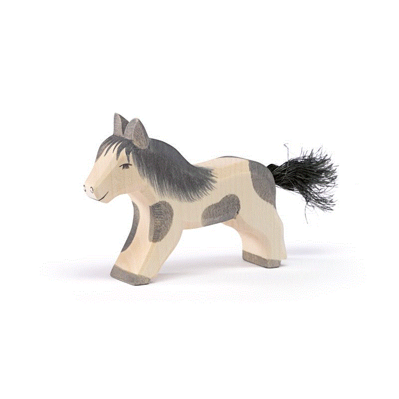 Ostheimer Shetland Pony laufend