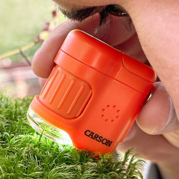 Carson MicroMini Taschen-Mikroskop orange