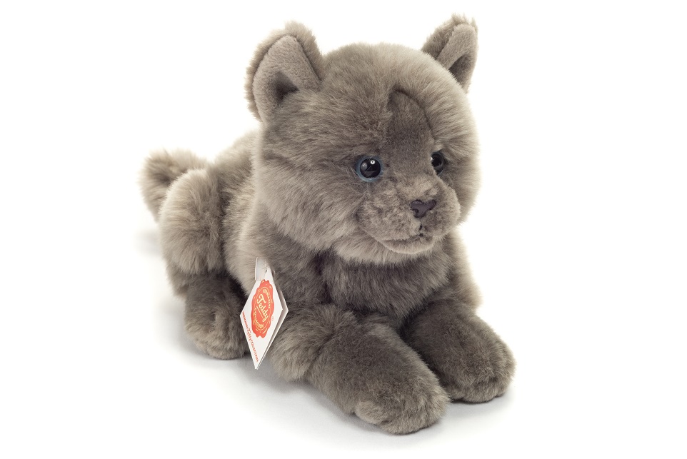 Hermann Teddy Kartäuser Katze liegend 20 cm