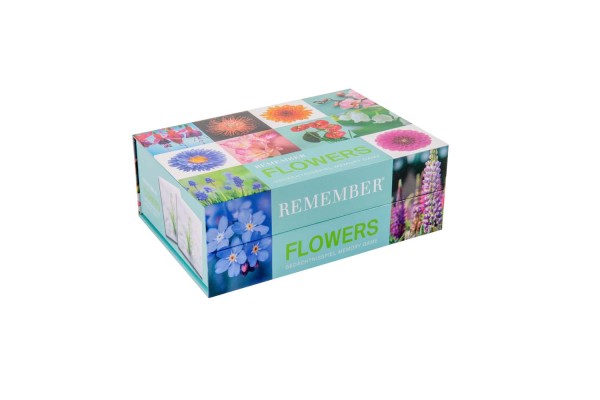 MEM06_Remember_Flower_Power_Freisteller_01